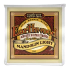 Ernie Ball 2067 Earthwood 80/20 Bronze Mandolin Strings; light 9-34