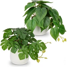 Fake Plants Set of 2 Artificial Plants Faux Pothos with White Ceramic Pots Fa...