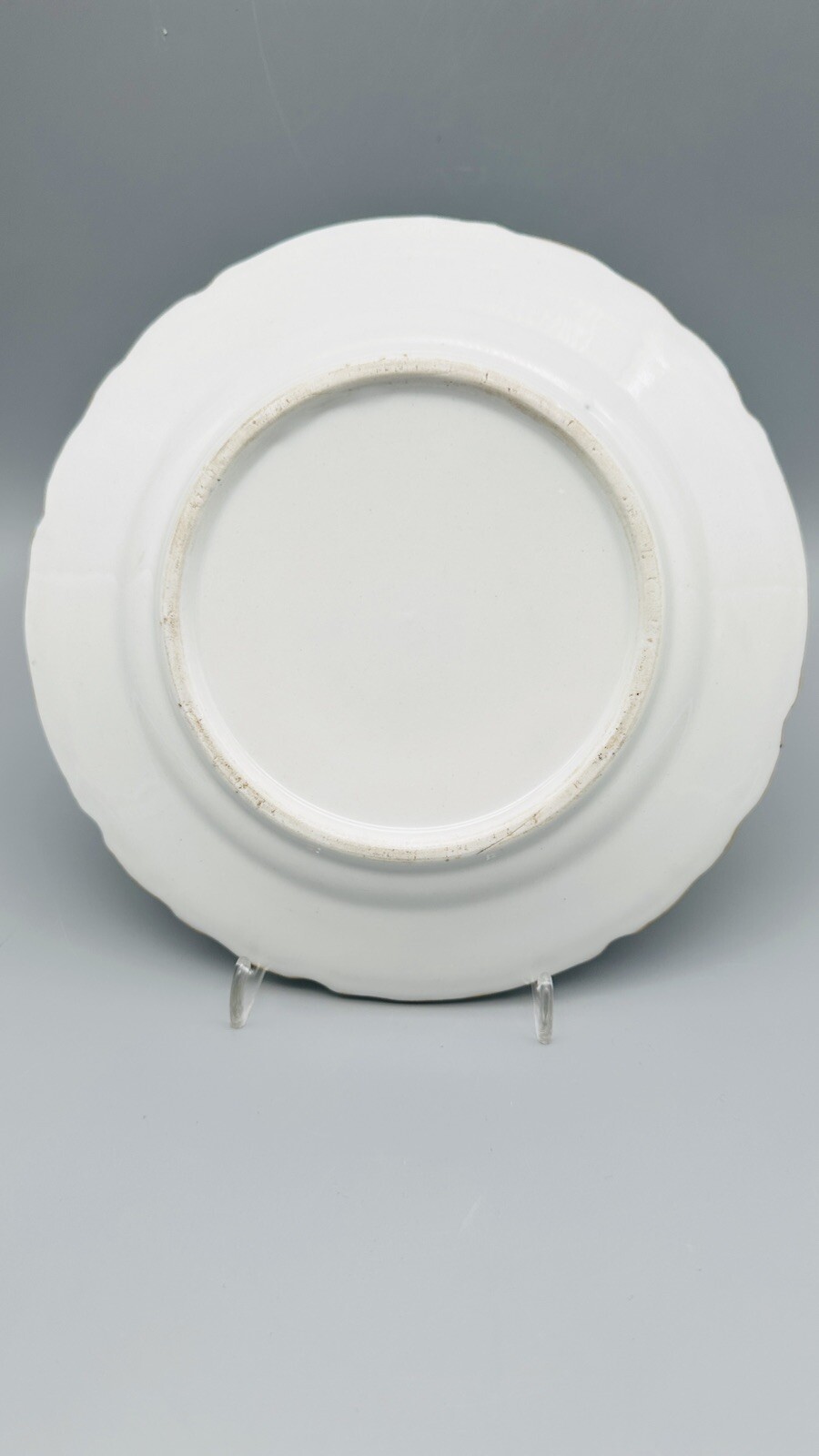 Foto 7 di 7