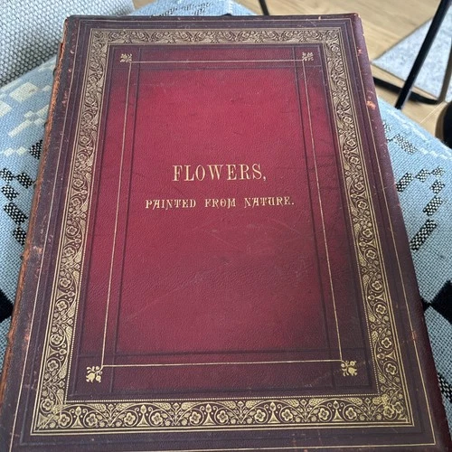 Anne Everard Flowers from nature Lithographed Pictures 1835 Hardback Book