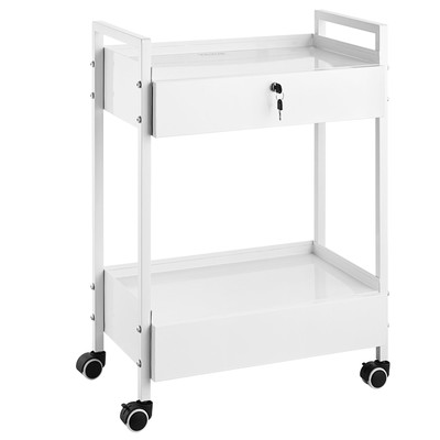 Uimoso Trolley Cart Dental Lab Medical Steel Mobile Rolling Serving Cart 2 Tiers