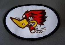 Thrush Bird/Woodpecker  - Embroidered Iron-On Patch 3.75"