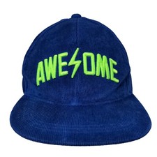 Old Navy Boy's Snapback Hat Blue Size OS Embroidered Awesome Logo Corduroy