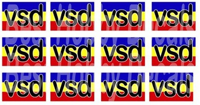 Custom VSD for customer 12 logos.