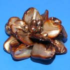 Foto 3 di 7