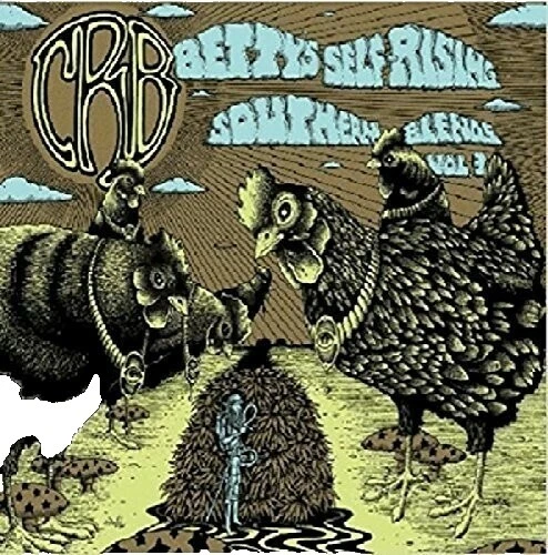 Chris Robinson Brotherhood Mint (M) Sleeve Vinyl Records