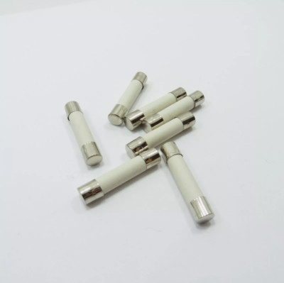 LOT OF 5 EACH NEW 6mm x 30mm F5AL250V FUSES 5A 250V F5AL