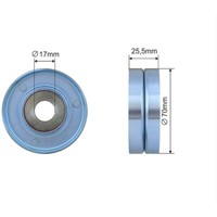 Nty Spannrolle Keilrippenriemen FüR Bmw 5Er Touring E39 530D 525D E46 330D Opel
