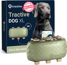 Dog XL GPS Tracker for Large Dogs, Green