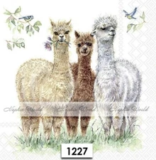 (1227) TWO Paper LUNCHEON Decoupage Art Craft Napkins - LLAMA ALPACA WOOLY