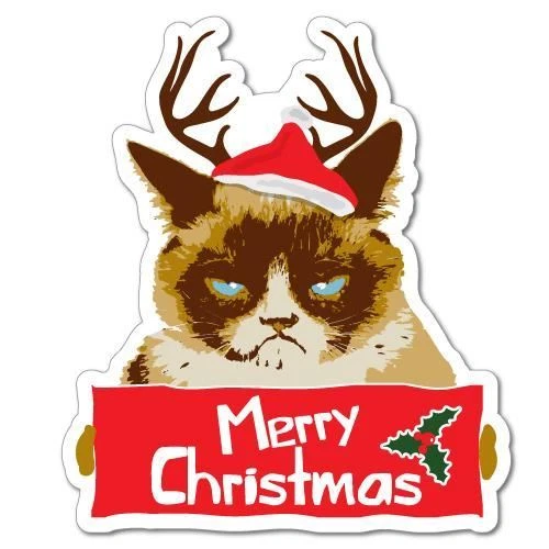Grumpy cat top santa hat