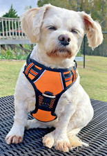 Dog Harness, Handle No Pull Reflective w Handle Padded Mesh, Orange S, M, L, XL