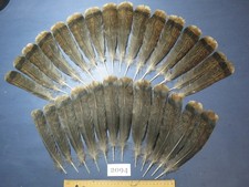 28 Pcs Natural Turkey Tail Feathers, Fly Tying Materials,Real Feathers. 2094 