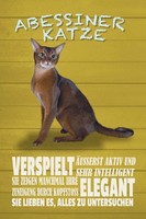 Holzschild 18X12 Cm Abyssinian Katze Verspielt Tier Haustier Deko Geschenk Holz