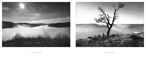 Raymond Depardon Rural - Picture 6 of 8