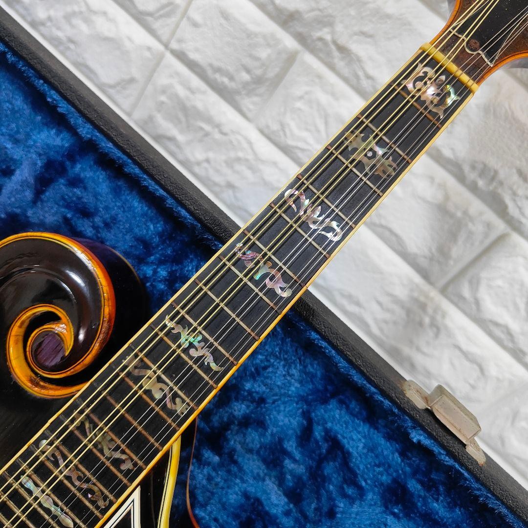 BLUE BELL F-10 Mandolin Bluebell | eBay