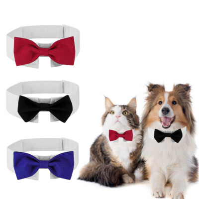 dog bow tie ebay
