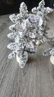 Bild 2 von 6