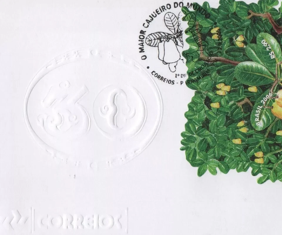 Fruta Brasil Caju 2006 el árbol de anacardo más grande del mundo Yvert B127 水果 COMO NUEVO Foto 3 de 3