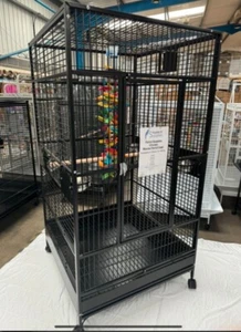 Fournisseurs de perroquet Chicago XL Cage de perroquet de Macaw - Noir, énorme cage de perroquet Macaw.