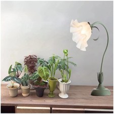 Table Top Grow Light for Indoor Plants – Decorative Desk Plant Green 