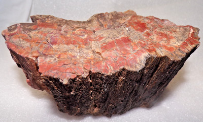 Desert Colors Petrified Wood 3 Lb Chinle Formation N E AZ Apache County