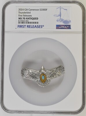 2024 Cameroon Thunderbird 2 oz Silver coin NGC MS70 | eBay