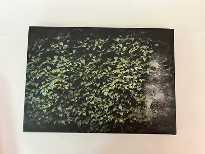 Anthony Goicolea by Anthony Goicolea Photography Book | eBay