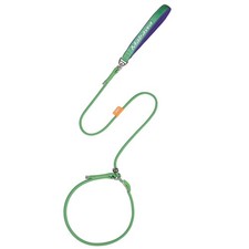 Dog Leash Anti Slip 5 Ft Metal Stopper Nylon Rope No Pull Training Green Lead