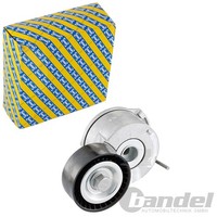 Snr Riemenspanner Spannrolle Keilrippenriemen FüR Ford C-MAX Focus Galaxy Grand