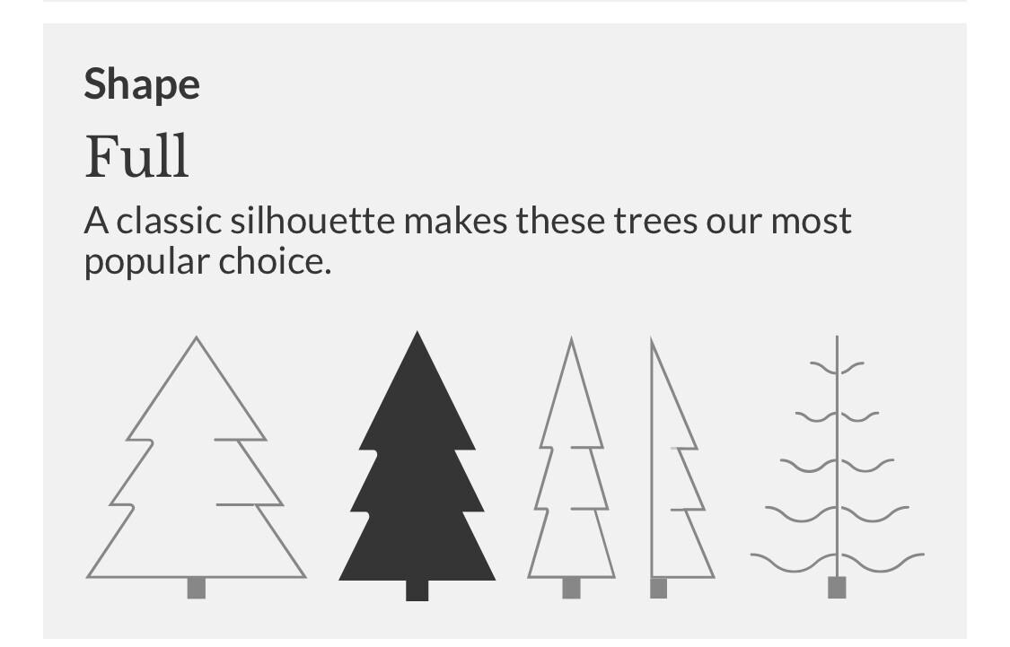 Balsam Hill 8 ft. Christmas Tree New eBay