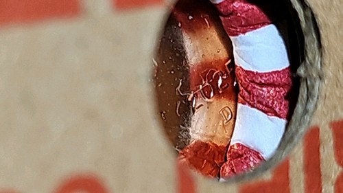 SEALED 2025-D BOX OBW BU LINCOLN CENTS PENNY (50 ROLLS) (RED & UNCIRCULATED) - Picture 11 of 24