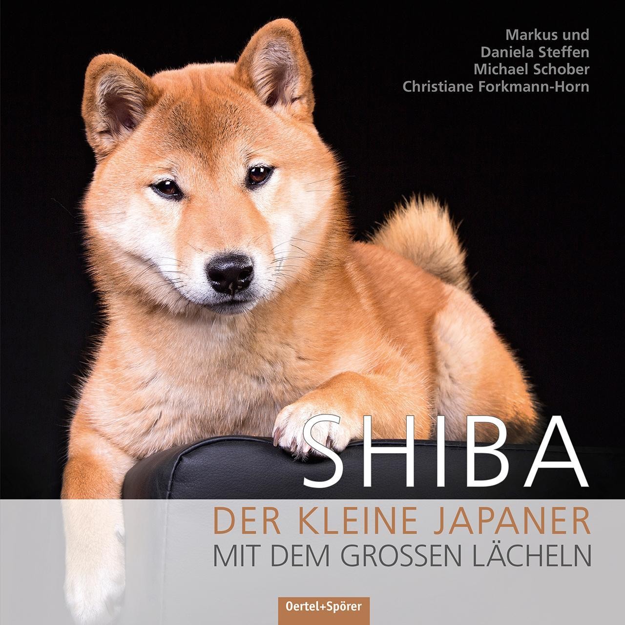 Shiba Michael Schober - Bild 3