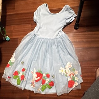 Girls Mini Boden Blue Fit & Flare Tulle Dress Bunny Appliqué Short Sleeve