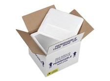 Overnite Insulated Shipper 20 3/4 x 13 3/4 x 14 Durable