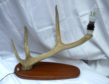 Vintage Deer Antler & Horn Table Lamp - Teal Base