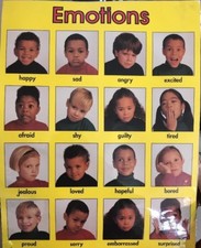 Vintage “Emotions “Picture Perfect Chartlet For Daycares Ships N 24h