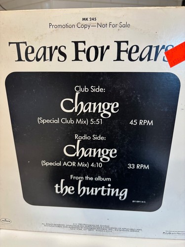TEARS FOR FEARS Change 1983 US Promo 12" Vinyl single Mercury MK 245 1983 NM/VG - Picture 2 of 4