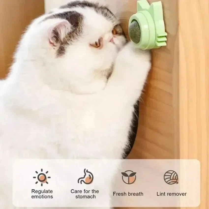 Catnip Ball for Cats | Teeth Cleaning | Catnip Wall Ball | Indoor Cat Toy - Image 3 of 3