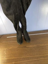 TOP Moda | Knee High Boots Black Microsuede Women’s Size 10
