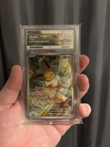 Pokémon TCG - Eevee Black Star Promo - Ace 10