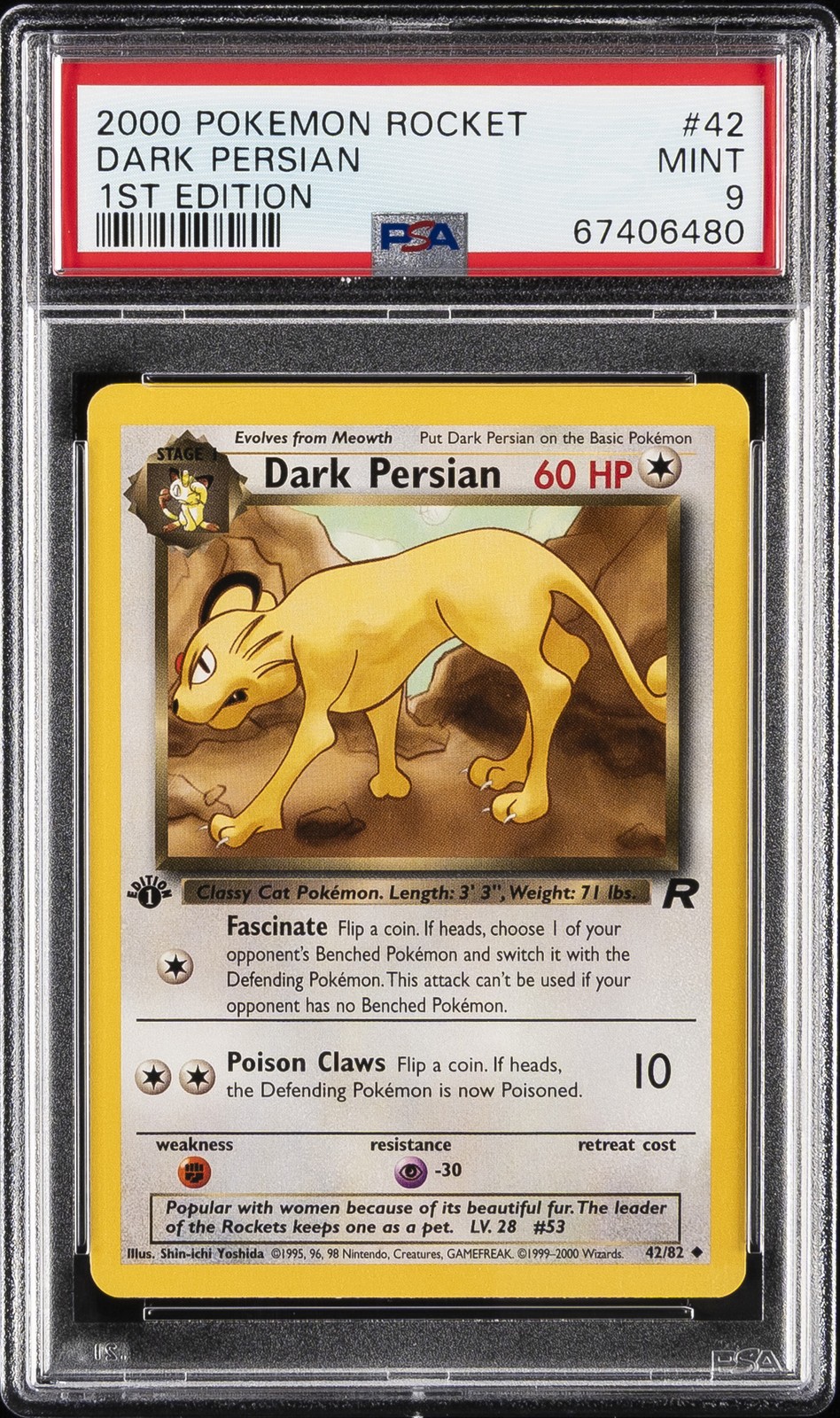 Dark Persian 1st Edition #42