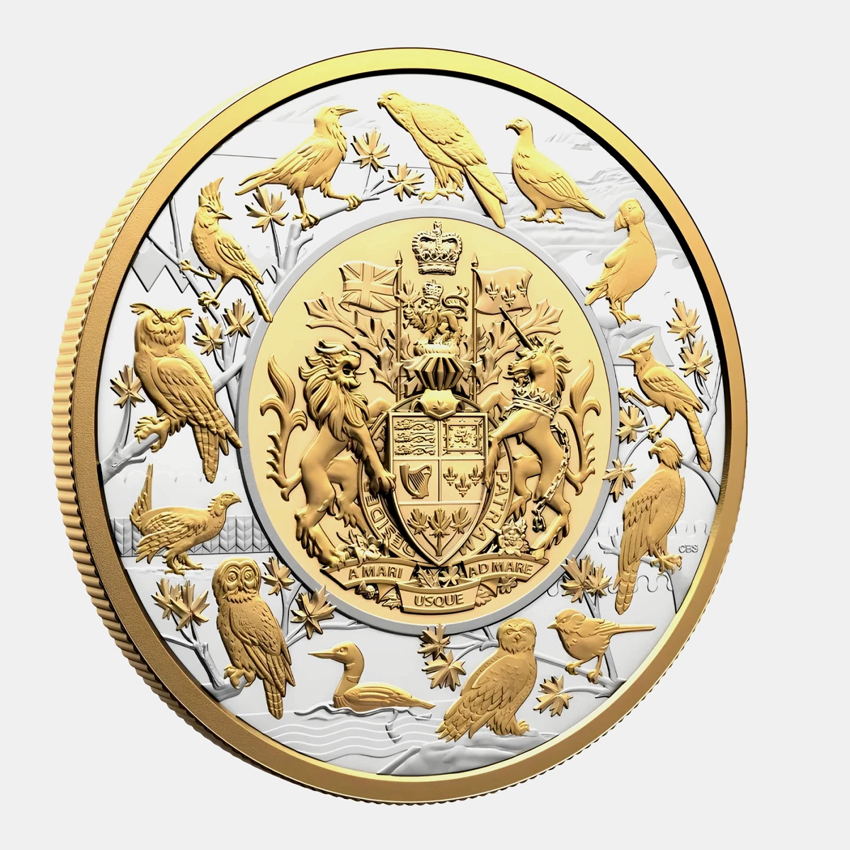 Moneda de plata de Canadá "Aves de Canadá" 2024 prueba 5 oz Royal Canada Mint