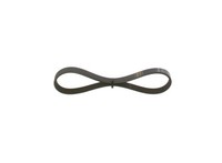 NEU - Bosch 1987948354 Keilrippenriemen FüR Ford