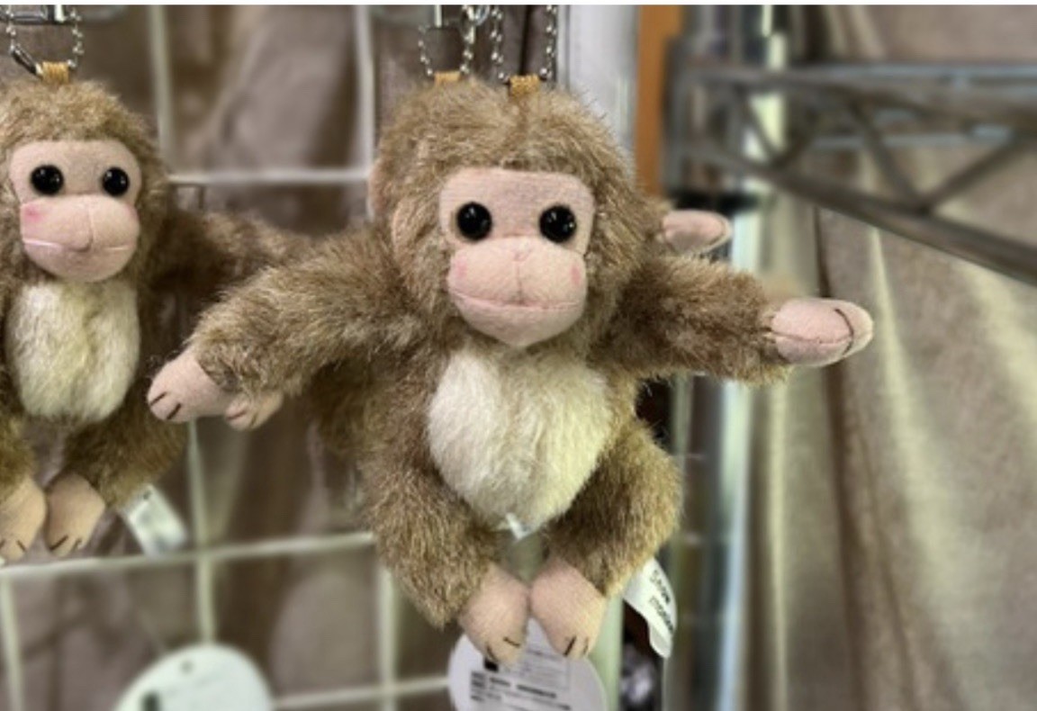 SANCTUARYダゴニャンキーリング Jigokudani Yaen Koen Snow Monkey Mascot Plush Keychain Park