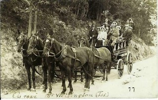 On Road. Mt Wellington. Tasmania. Old Australian Real Photo Postcard Pub K Dowie