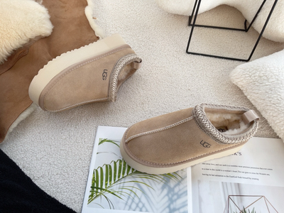 Tazz Logo Brand New UGG Tazz Chestnut Suede Shoes