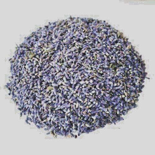 Lavender Flower French Organic Buds Dried ~ Lavandula x Intermedia