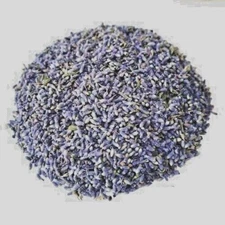French Lavender Flower Organic Buds Dried ~ Lavandula x Intermedia