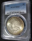 1882 P  - MORGAN SILVER  DOLLAR  -  PCGS MS64 - Crescent Moon Rainbow Toned
